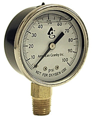AMERICAN GRANBY American Granby EILPG302-4LNL Liquid Gauge 30 Psi