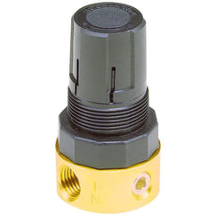 PARKER Parker 20R113GC Miniature Air Regulator 1/4 Npt 300 Psi