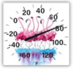 TAYLOR PRECISION PRODUCTS Taylor Precision Products 5323342 Flamingo Thermometer