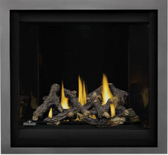 Napoleon Hearth Napoleon Hearth AX36PTE-1 Altitude X 36 inches Direct Vent Fireplace Propane