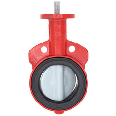 BRAY 300400-11010119 BUTTERFLY VALVES