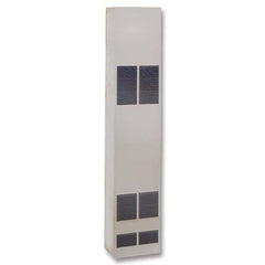 EMPIRE COMFORT SYSTEMS Empire Comfort Systems DVC35IPX Direct Vent Counterflow Wall Furnace with Electronic Ignition 35,000 BTU