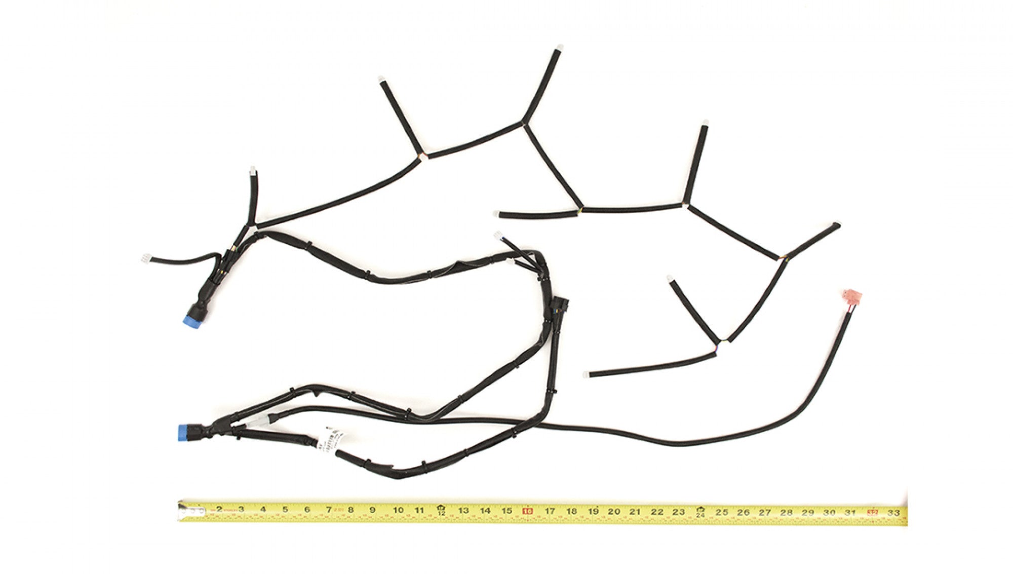 301494832.jpg