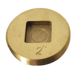 301495540.jpg