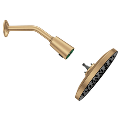MOEN Moen 220R3EPBZG Verso Bronzed Gold Infinite 9 inches Diameter Spray Head Rainshower