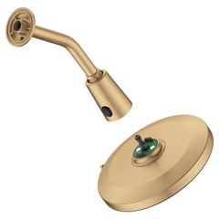 MOEN Moen 220R3EPBZG Verso Bronzed Gold Infinite 9 inches Diameter Spray Head Rainshower