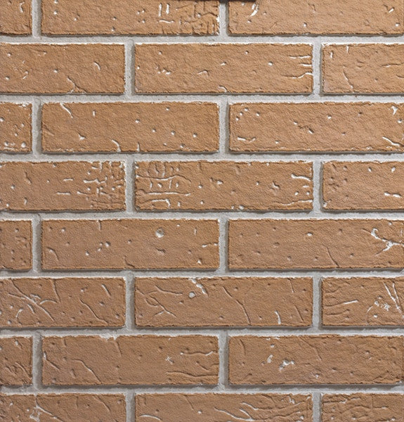 302512237.jpg