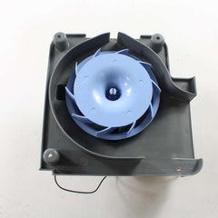302516457.jpg