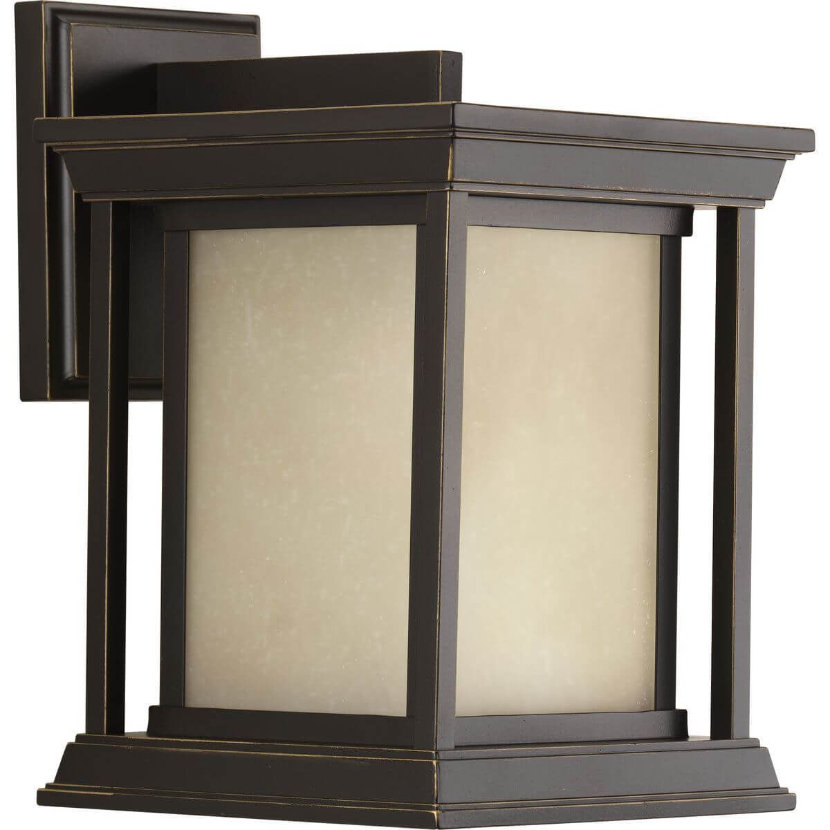 PROGRESS LIGHTING Progress Lighting P5605-20 Endicott 1-Light 100W Fixture