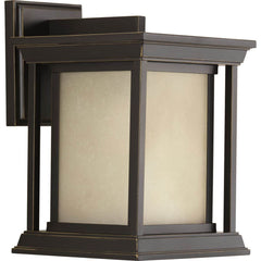PROGRESS LIGHTING Progress Lighting P5605-20 Endicott 1-Light 100W Fixture