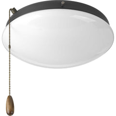 PROGRESS LIGHTING Progress Lighting P2602-143WB AirPro Fan Light Kit in Graphite