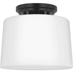 PROGRESS LIGHTING Progress Lighting P350260-31M Adley 1 Light 8.62 inch Flush Mount Ceiling Light