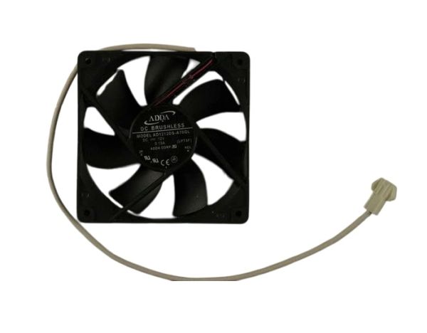 302607258.jpg