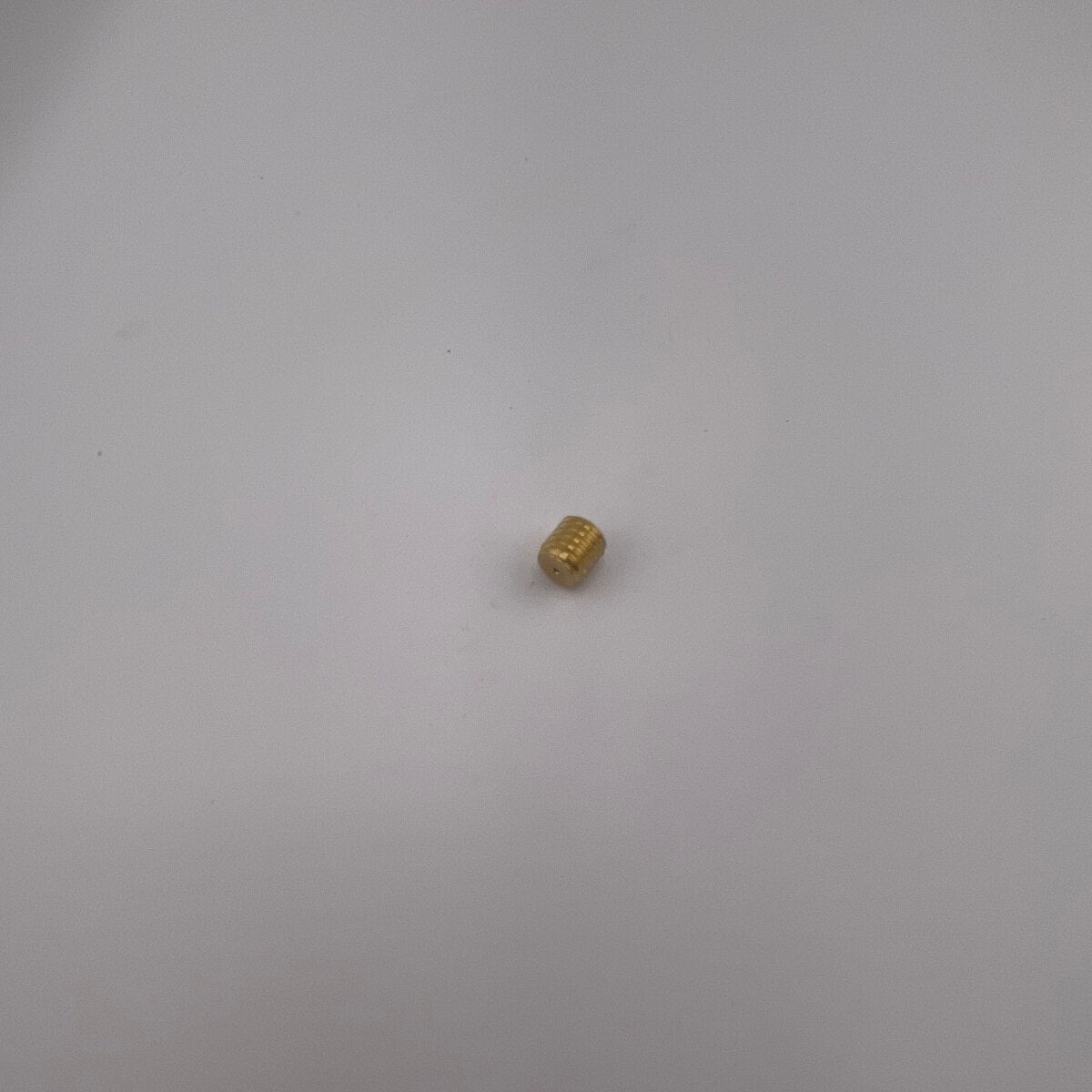 302607813.jpg