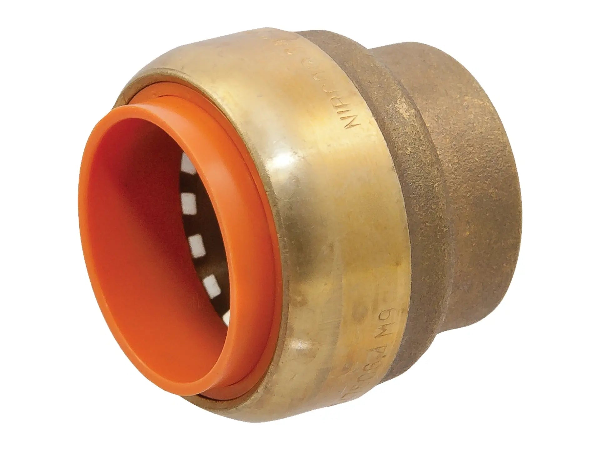 302928039.jpg