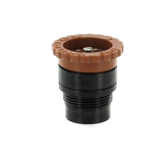 302928716.jpg