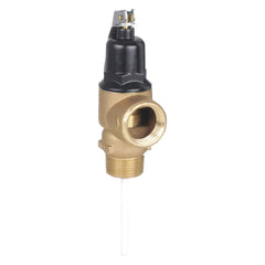 CASH ACME Cash Acme CM16938-0150 FVMX High Capacity Combination Temperature/Pressure Relief Valve 1 in, MNPT Replacement