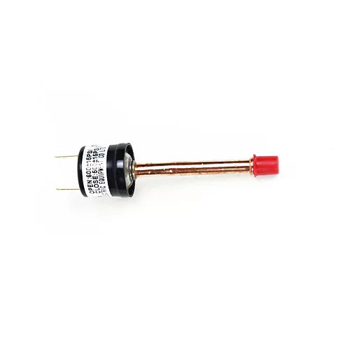 304877184.webp