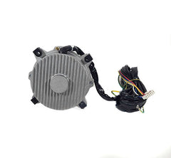 HAYWARD Hayward HPX20000330381 Fan Motor