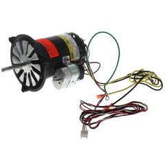 304877651.jpg