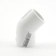 304878355.jpg