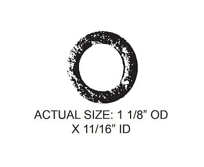 304881704.jpg