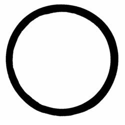 304881708.jpg
