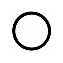 304882495.jpg