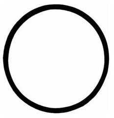 304882531.jpg