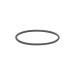 304884877.jpg