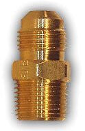 304885707.jpg