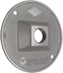 305521324.jpg