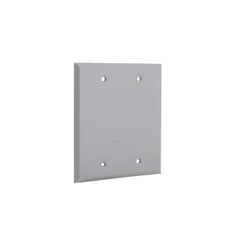 HUBBELL Hubbell 5175-0 Blank Weatherproof Device Cover 2-Gang