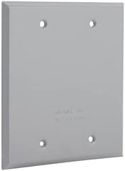 HUBBELL Hubbell 5175-0 Blank Weatherproof Device Cover 2-Gang