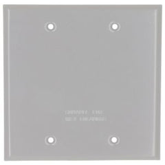 HUBBELL Hubbell 5175-0 Blank Weatherproof Device Cover 2-Gang