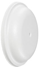 305524561.jpg