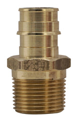 305524707.jpg