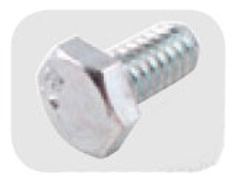 305525338.jpg