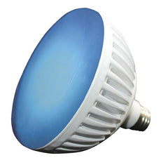 305526457.jpg