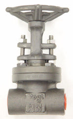 305528006.jpg