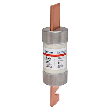 305528286.jpg