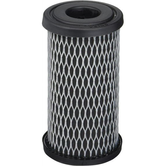PENTAIR American Plumber W5CIP478 Filter Cartridge (Set of 2)