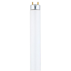 WESTINGHOUSE LIGHTING Westinghouse Lighting 3741300 t8 linear fluorescent lamp 32 watt 48 inch