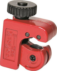 305534450.jpg