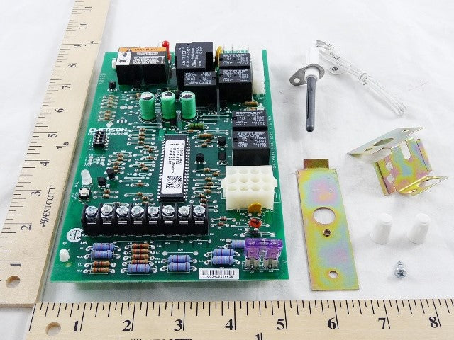 305534764.jpg