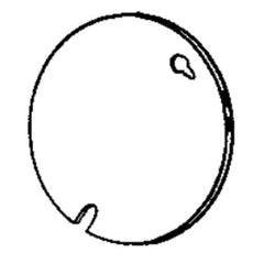 305950802.jpg