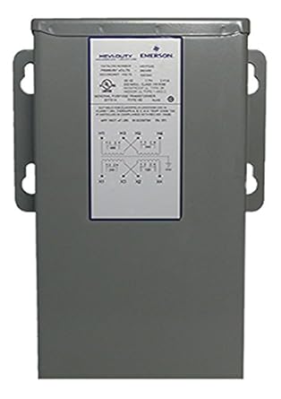 305950825.jpg