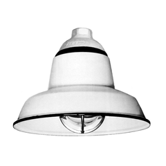 APPLETON Appleton VPG-1RE Unilet Globe 100 W Replacement VPG1RE