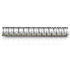 305955966.jpg