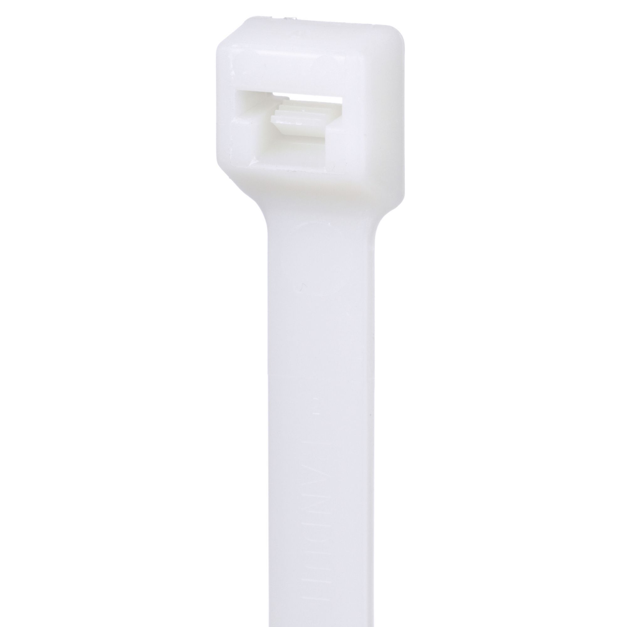 305960990.jpg